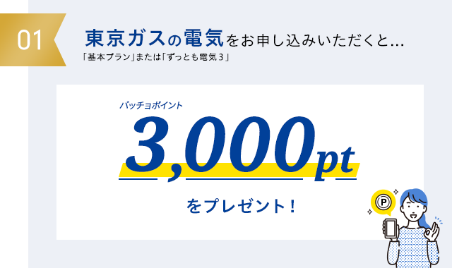 東京ガスの電気をお申し込みいただくと3,000ptをプレゼント！