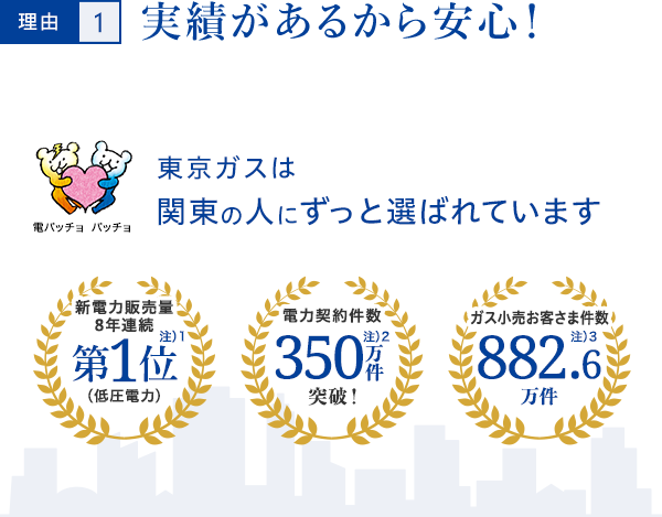 理由1.実績があるから安心！