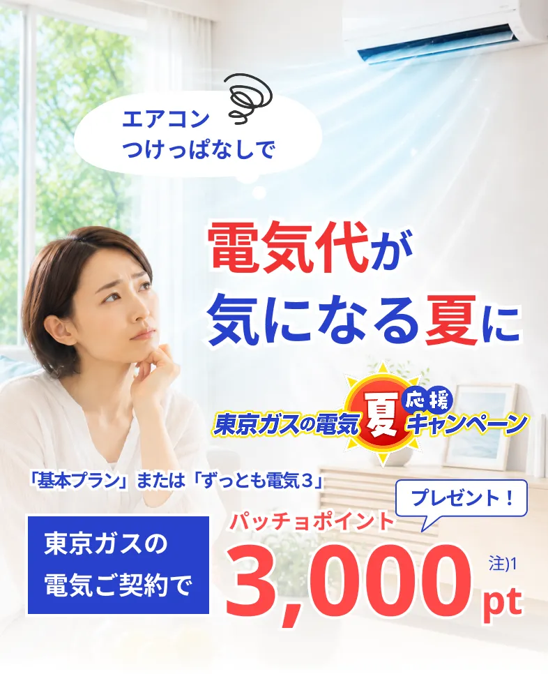 エアコンつけっぱなしで電気代が気になる夏に東京ガスの電気夏応援キャンペーン。基本プランまたはずっとも電気３、東京ガスの電気ご契約でパッチョポイント3000ポイントプレゼント！