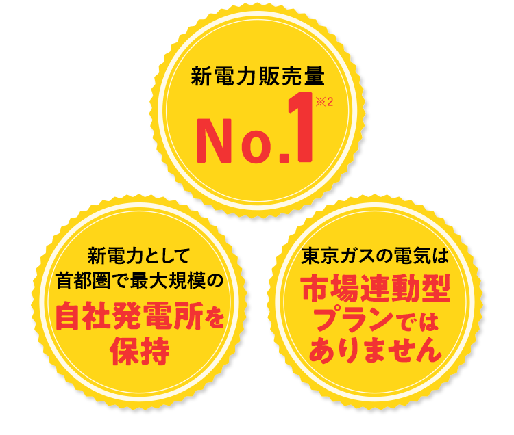 新電力販売量No1 新電力として首都圏で最大規模の自社発電所を保持 東京ガスの電気は市場連動型プランではありません