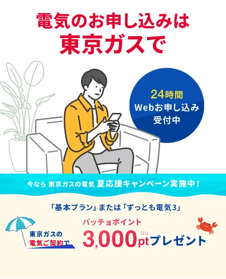 関東の電気なら、東京ガス！！東京ガスの電気夏応援キャンペーン。東京ガスの電気ご契約でパッチョポイント3000ポイントプレゼント！
