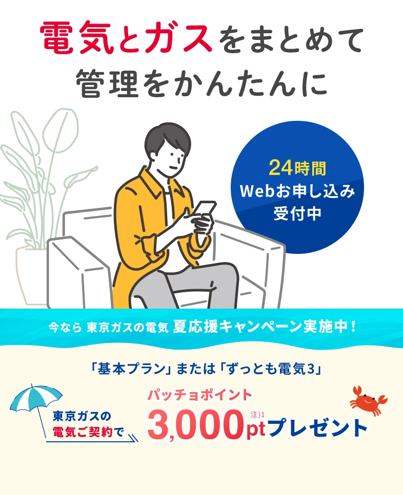 関東の電気なら、東京ガス！！東京ガスの電気夏応援キャンペーン。東京ガスの電気ご契約でパッチョポイント3000ポイントプレゼント！