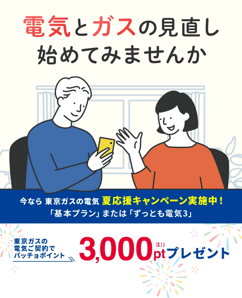 関東の電気なら、東京ガス！！東京ガスの電気夏応援キャンペーン。東京ガスの電気ご契約でパッチョポイント3000ポイントプレゼント！