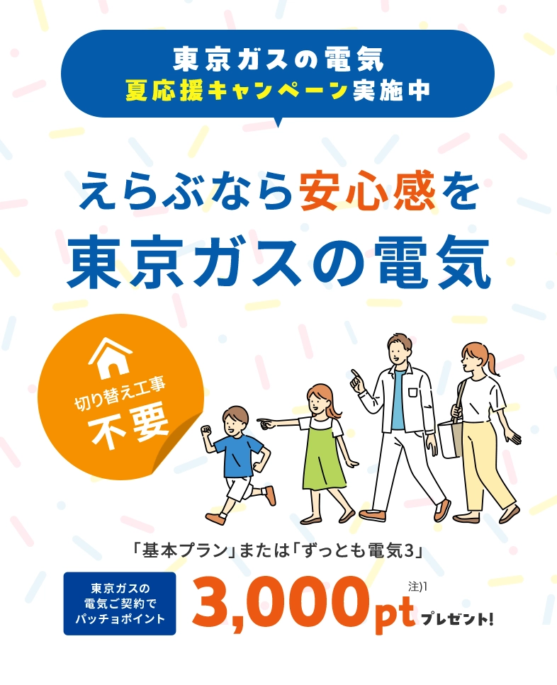 関東の電気なら、東京ガス！！東京ガスの電気夏応援キャンペーン。東京ガスの電気ご契約でパッチョポイント3000ポイントプレゼント！