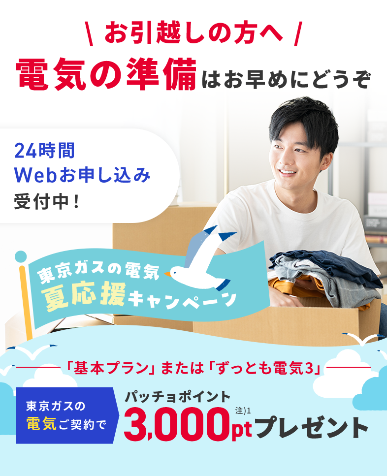 関東の電気なら、東京ガス！！東京ガスの電気夏応援キャンペーン。東京ガスの電気ご契約でパッチョポイント3000ポイントプレゼント！