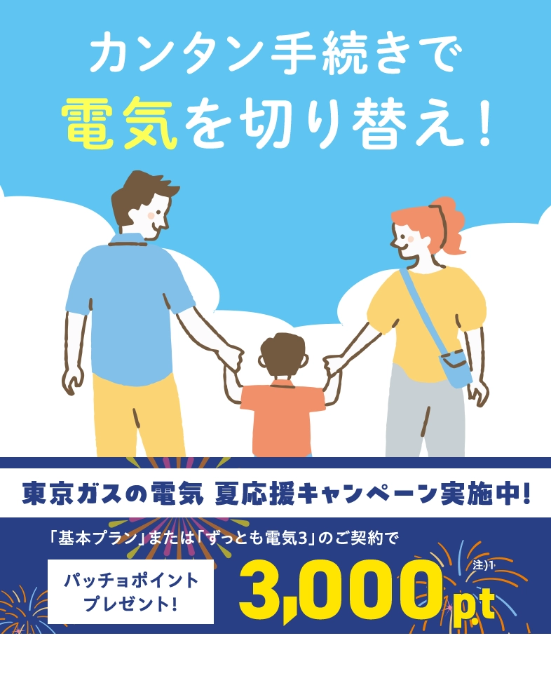 関東の電気なら、東京ガス！！東京ガスの電気夏応援キャンペーン。東京ガスの電気ご契約でパッチョポイント3000ポイントプレゼント！