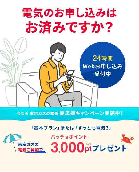 関東の電気なら、東京ガス！！東京ガスの電気夏応援キャンペーン。東京ガスの電気ご契約でパッチョポイント3000ポイントプレゼント！