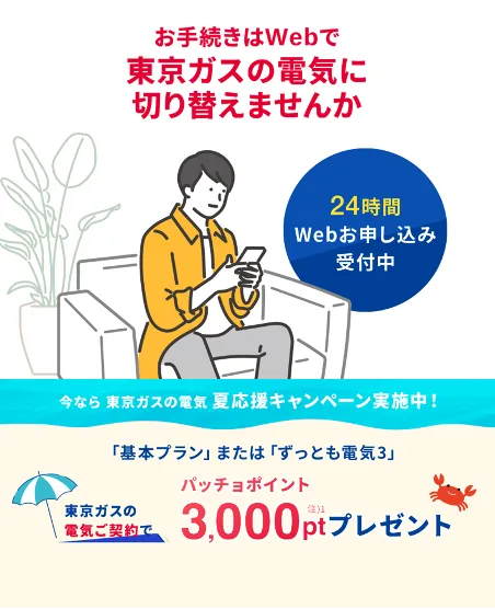 関東の電気なら、東京ガス！！東京ガスの電気夏応援キャンペーン。東京ガスの電気ご契約でパッチョポイント3000ポイントプレゼント！