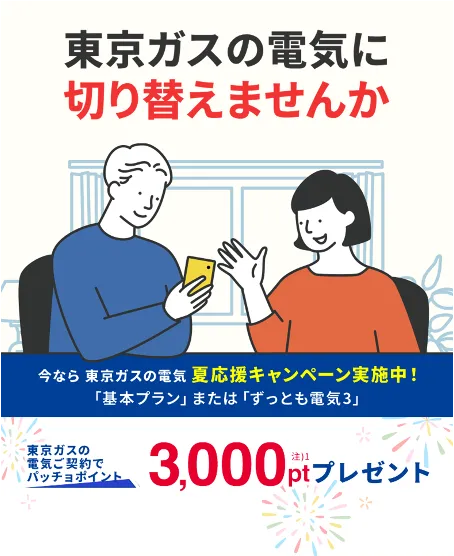 関東の電気なら、東京ガス！！東京ガスの電気夏応援キャンペーン。東京ガスの電気ご契約でパッチョポイント3000ポイントプレゼント！