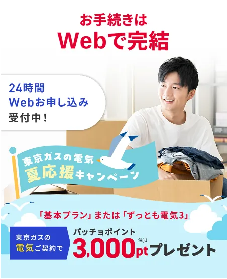 関東の電気なら、東京ガス！！東京ガスの電気夏応援キャンペーン。東京ガスの電気ご契約でパッチョポイント3000ポイントプレゼント！
