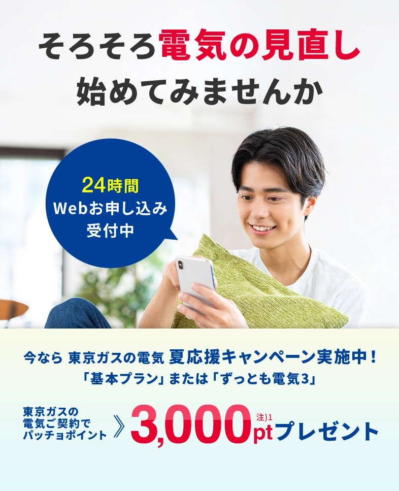 関東の電気なら、東京ガス！！東京ガスの電気夏応援キャンペーン。東京ガスの電気ご契約でパッチョポイント3000ポイントプレゼント！