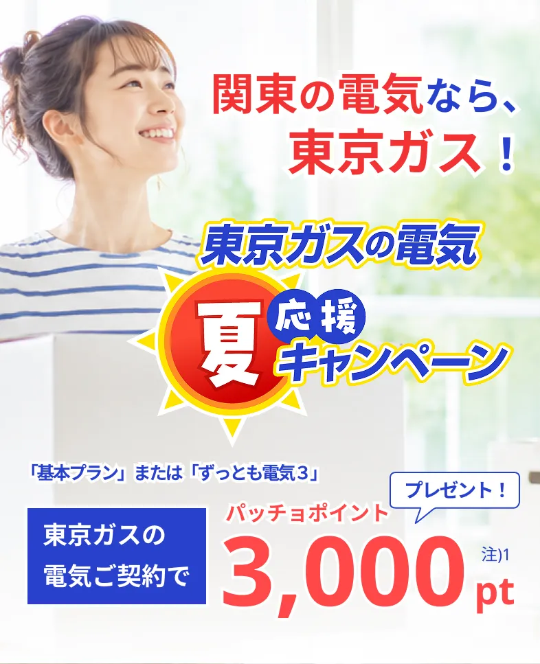 関東の電気なら、東京ガス！！東京ガスの電気夏応援キャンペーン。東京ガスの電気ご契約でパッチョポイント3000ポイントプレゼント！