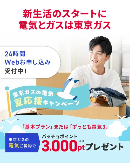 ガスも電気も、東京ガスでまとめよう！東京ガスの電気夏応援キャンペーン。東京ガスの電気ご契約でパッチョポイント3000ポイントプレゼント！