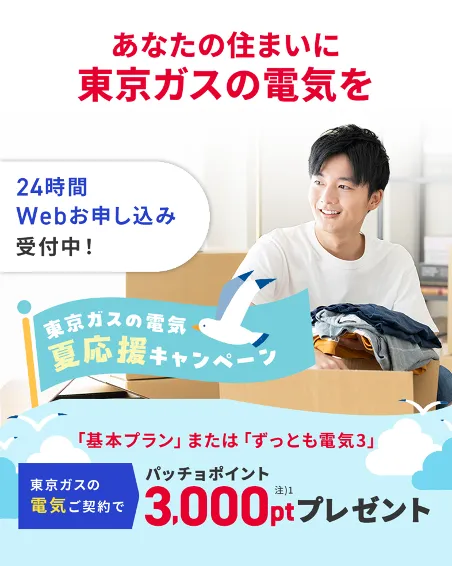 ガスも電気も、東京ガスでまとめよう！東京ガスの電気夏応援キャンペーン。東京ガスの電気ご契約でパッチョポイント3000ポイントプレゼント！