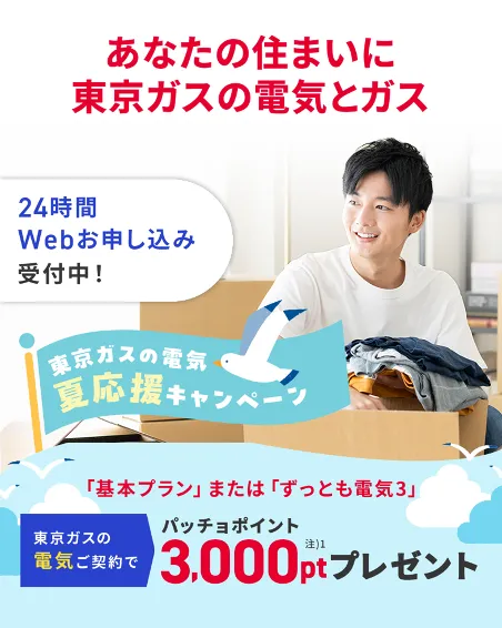 ガスも電気も、東京ガスでまとめよう！東京ガスの電気夏応援キャンペーン。東京ガスの電気ご契約でパッチョポイント3000ポイントプレゼント！