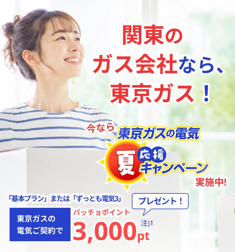 関東のガス会社なら、東京ガス！東京ガスの電気夏応援キャンペーン。東京ガスの電気ご契約でパッチョポイント3000ポイントプレゼント！