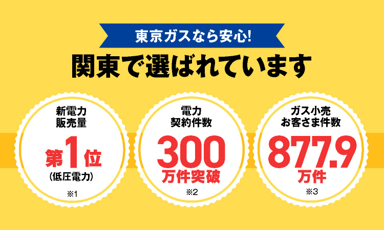 東京ガスなら安心!関東で選ばれています【電力契約件数300万件突破】【新電力販売量第1位】【ガス小売お客さま件数877.9万件】