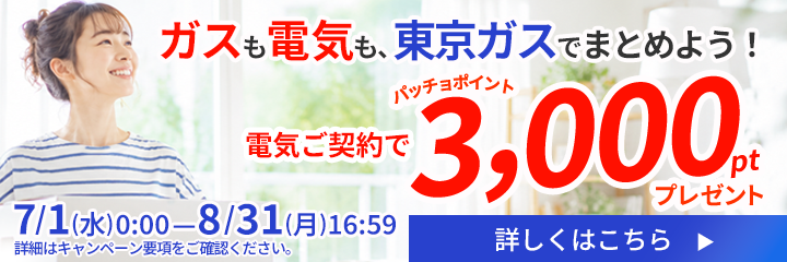 ガスも電気も東京ガスでまとめよう。東京ガスの電気ご契約で3000ポイントプレゼントキャンペーン