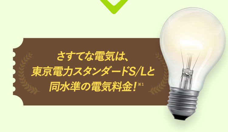 さすてな電気は東京電力スタンダードS/Lと同等の電気料金！※1 お申し込みはこちら