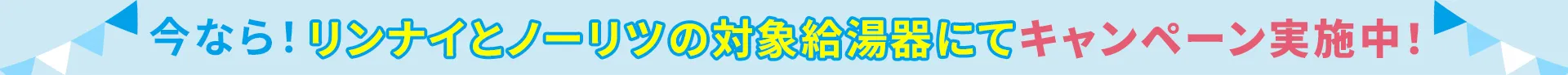 キャンペーン帯