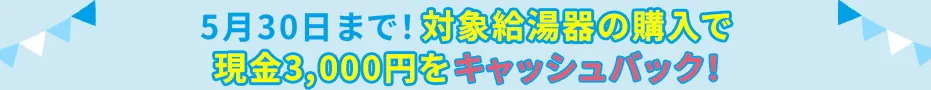 キャンペーン帯
