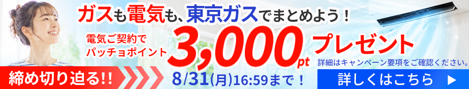 ガスも電気も東京ガスでまとめよう！電気ご契約でパッチョポイントが3,000ポイントもらえるキャンペーンを実施中