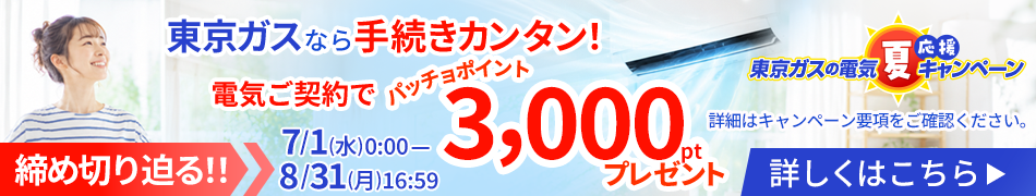 東京ガスなら手続きカンタン！さらに今なら電気ご契約でパッチョポイントが3,000ポイントもらえるキャンペーンを実施中