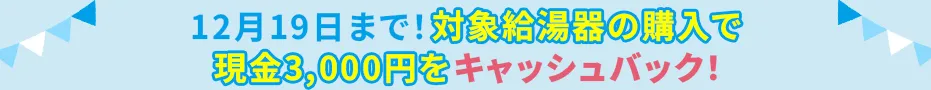 キャンペーン帯
