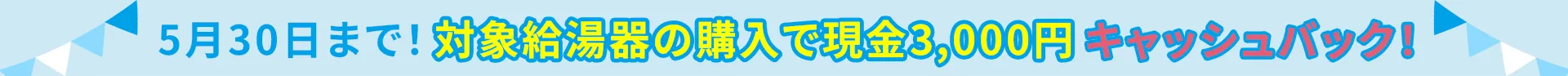 キャンペーン帯