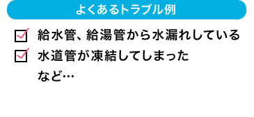 よくあるトラブル例 給水管、給湯管から水漏れしている 水道管が凍結してしまった など…