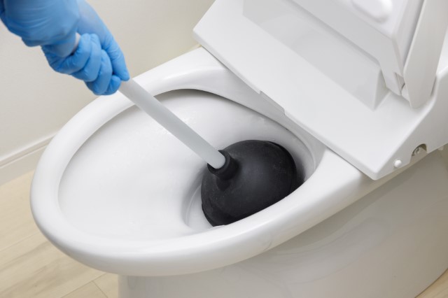 ラバーカップ（すっぽん）を使ってトイレのつまりを直す方法、正しい使い方を徹底解説！