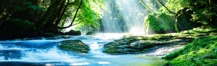 こだわりの天然水
