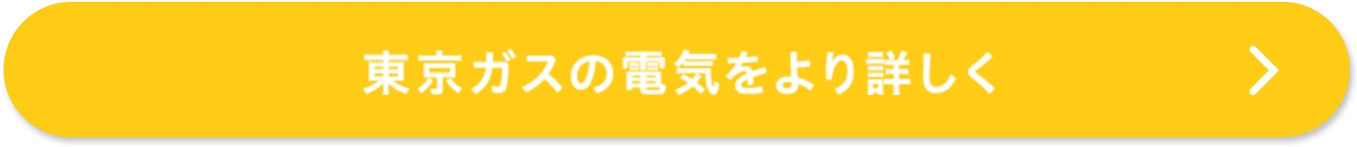 東京ガスの電気をより詳しく