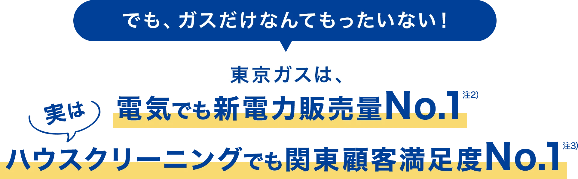でも、ガスだけなんてもったいない! 東京ガスは、電気でも新電力販売量No.1 実はハウスクリーニングでも関東顧客満足度No.1
